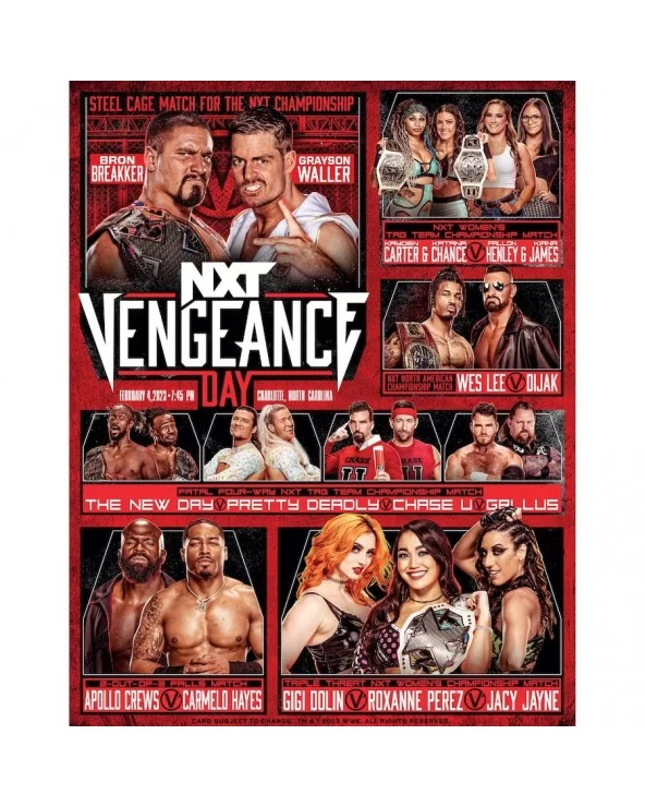 WWE NXT Vengeance Day 2023 11" x 14" Fight Poster Photograph $3.72 Collectibles